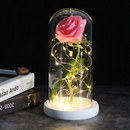 Galaktische Rose mit LED Beleuchtung - für besondere Anlässe(17% Rabatt)